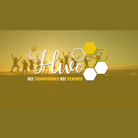 Hive – BEE Transformed BEE Renewed