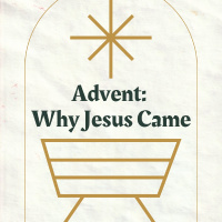 Assurance Came Down at Christmas