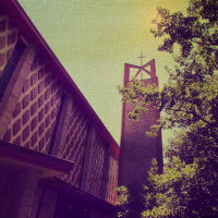 2019 32nd Sunday of Ordinary TIme