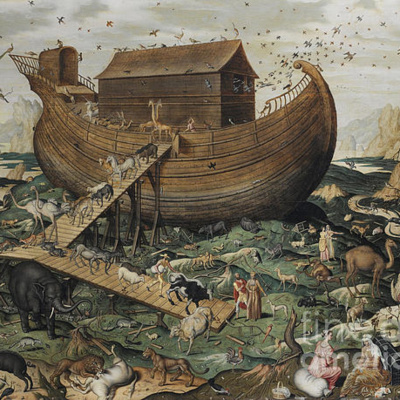 Fr. Bryan Ochs Weekly Homily