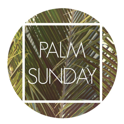 Fr. Bryan Ochs Weekly Homily