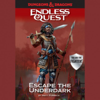 DD Nostalgia: Endless Quests and Coloring Books (Tome 310)