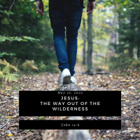 Jesus: the only way out of the wilderness (John 14:6)