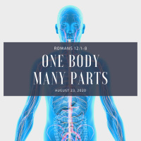 One Body, Many Parts (Romans 12:1-8)