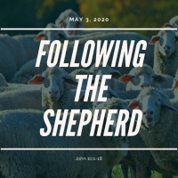 Following the Shepherd (John 10:1-16)