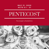 The Gospel is Multiethnic (Petnecost 2020)