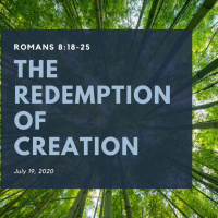 The Redemption of Creation (Rom 8:18-25)