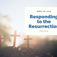 Responding to the Resurrection (Acts 2:36-41)