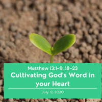 Cultivating Gods Word in your Heart (Matthew 13:1-9, 18-23)