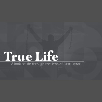 True Life - Life in Victory