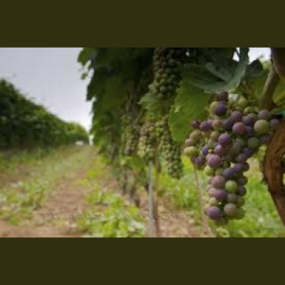 First Baptist Church Charlestown