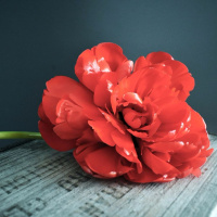 Learning From Loss - Part 2 - 5:15:17, 3.06 PM