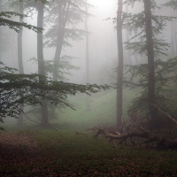 Through the Illusions with Kelly D.