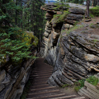 Thoughts  Feelings -Going Down The Rabbit Hole