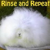 Rinse and Repeat Until We Get It! Part 2