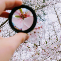 Where Is Your Focus? How You Are Manifesting