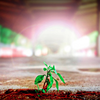 Exploring Limiting Beliefs Part 3 - Victim or Creator?