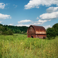 The Simple Life Part 1