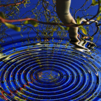 Awareness - Do We Have Any?