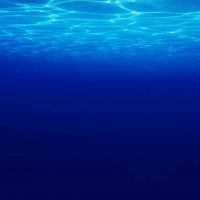 Entities, Spirits and The Lower Vibration Part 3