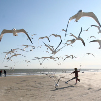 Are You Worrying Yourself Into the Poor House?