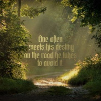 Does Everything Happen For A Reason?