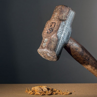 Button Pushing Energy Is On High!