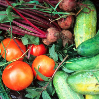 The Simple Life Part 2