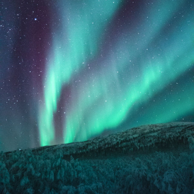 This Is Only Your Life - Overcoming The Bullsh*t To Open Your Heart And Mind