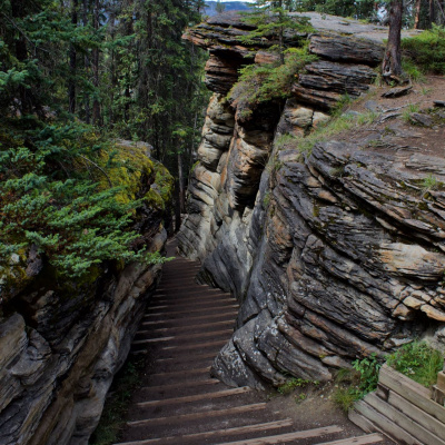 This Is Only Your Life - Overcoming The Bullsh*t To Open Your Heart And Mind