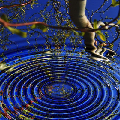 This Is Only Your Life - Overcoming The Bullsh*t To Open Your Heart And Mind