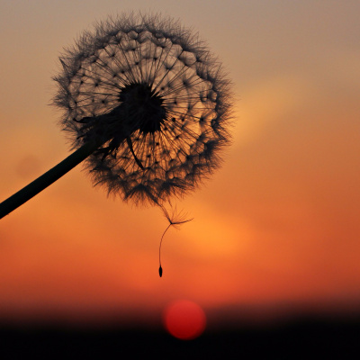 This Is Only Your Life - Overcoming The Bullsh*t To Open Your Heart And Mind