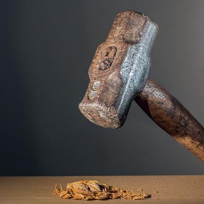 This Is Only Your Life - Overcoming The Bullsh*t To Open Your Heart And Mind