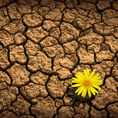 This Is Only Your Life - Overcoming The Bullsh*t To Open Your Heart And Mind