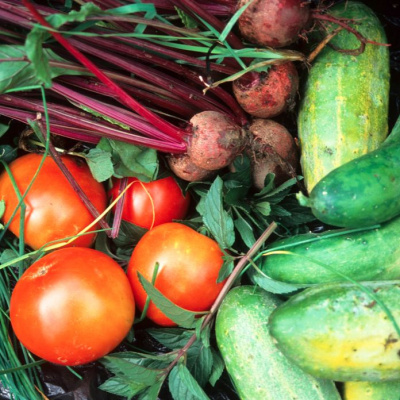 This Is Only Your Life - Overcoming The Bullsh*t To Open Your Heart And Mind