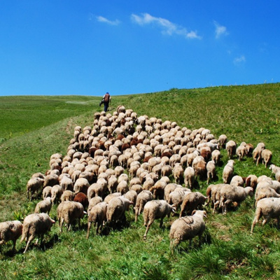 Faith And Leadership W/ Dr. William Clark