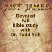 Sticks and Stones...: Just James Talks Turkey about the Tong