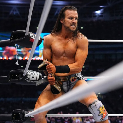 Wrestling Inc. Audio