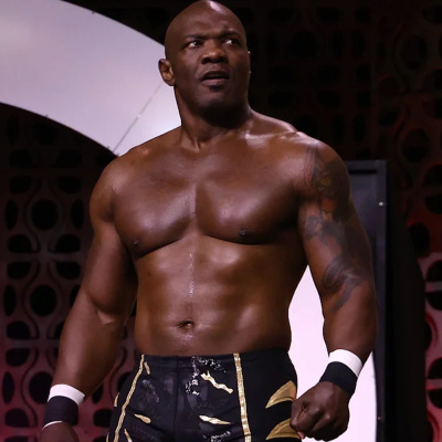 Wrestling Inc. Audio