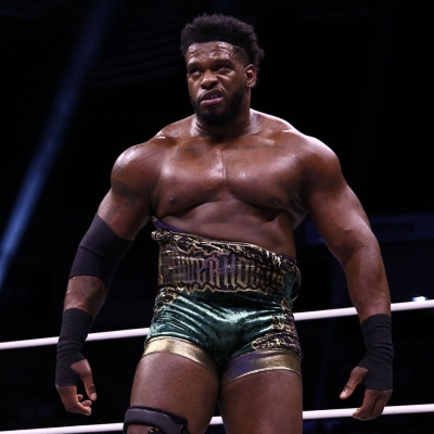 Wrestling Inc. Audio