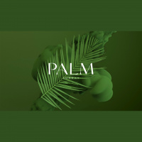 What Kind of King Did You Expect?