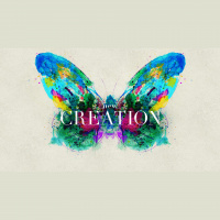 New Creation Realities