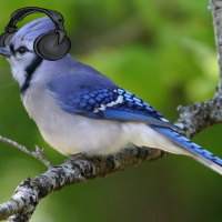 Episode 4 - E5 Podcast