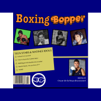 Boxing History - Teen Stars and Matinee Idols