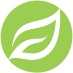 Lifechurch Reno Podcast