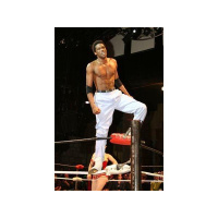 WrestlingHeads is RAW