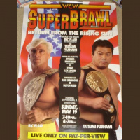 SuperBrawl 1: Ric Flair vs. Tatsumi Fujinami