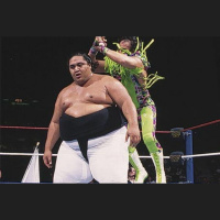 Royal Rumble 1993: A new generation