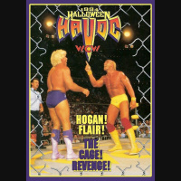 Halloween Havoc 1994: Hulk Hogan vs. Ric Flair