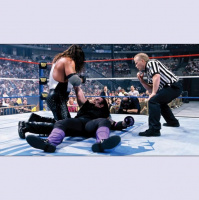 Colossal connections and beastly brawls